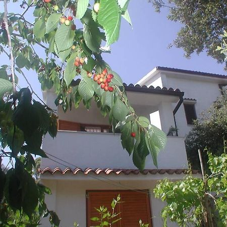 Stinjan-Studio Apartment Petric Pula Dış mekan fotoğraf