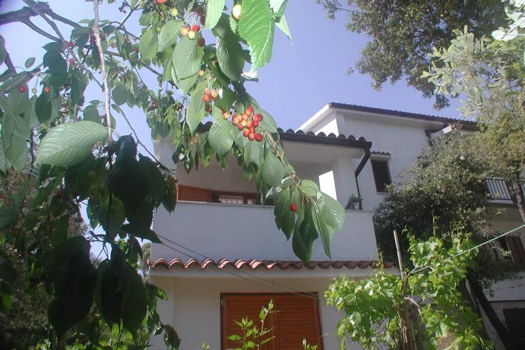 Stinjan-Studio Apartment Petric Pula Dış mekan fotoğraf