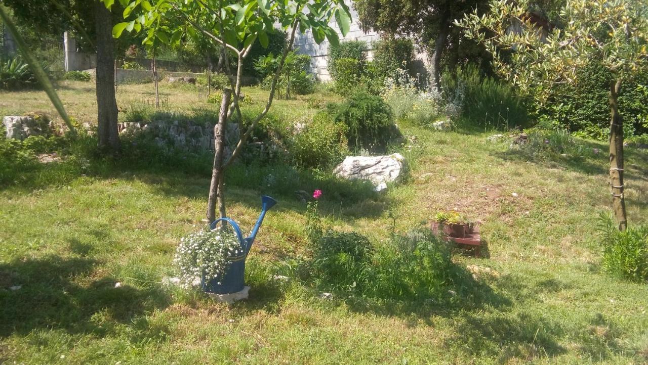 Stinjan-Studio Apartment Petric Pula Dış mekan fotoğraf